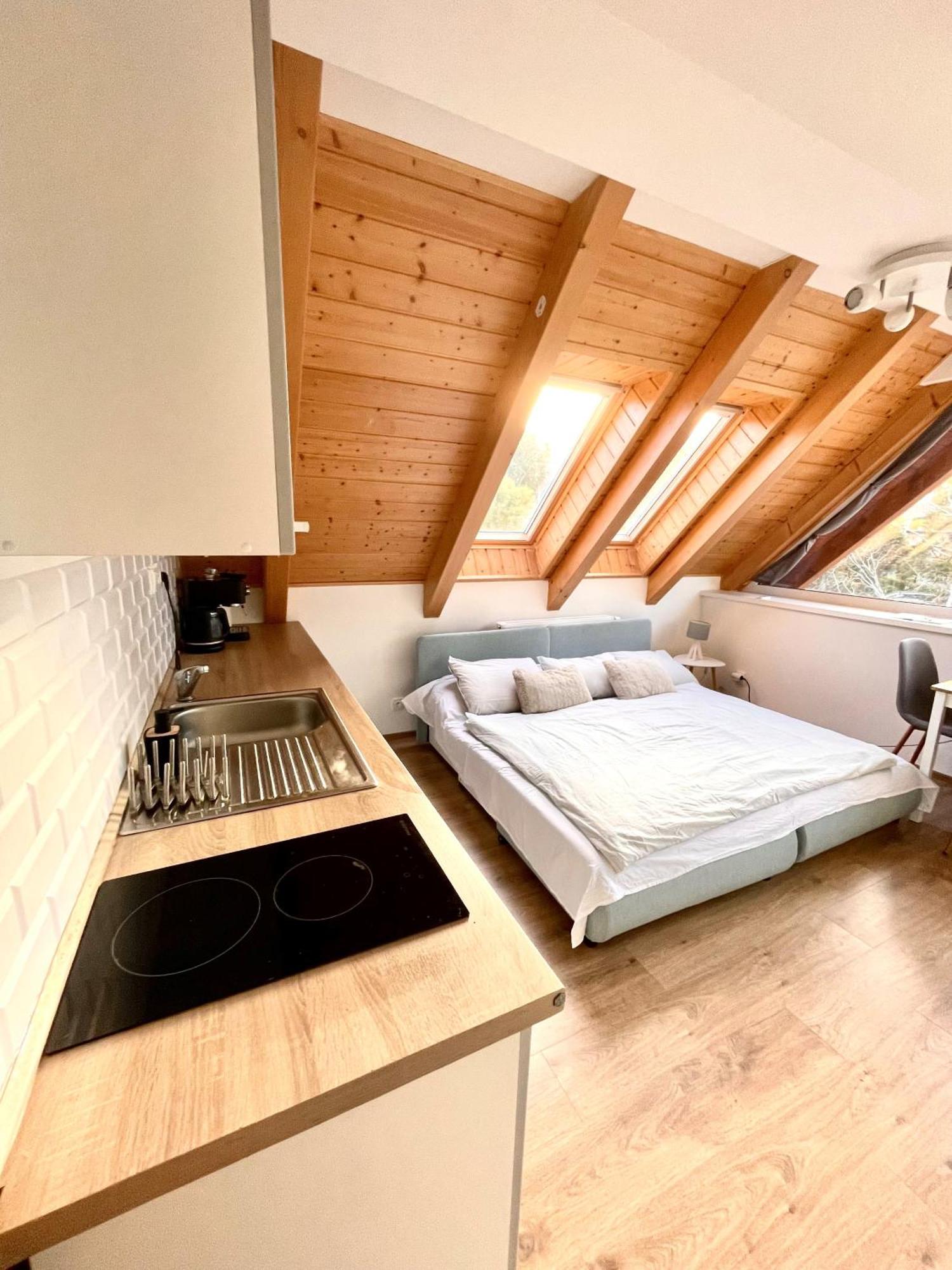 Apartman Riviera 41 Lipno nad Vltavou Εξωτερικό φωτογραφία
